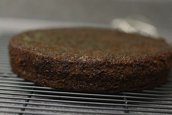 Best Chocolate Cake Ever from thelittlekitchen.net