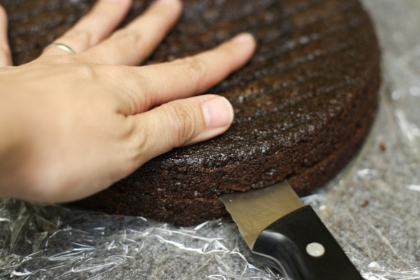 Best Chocolate Cake Ever from thelittlekitchen.net