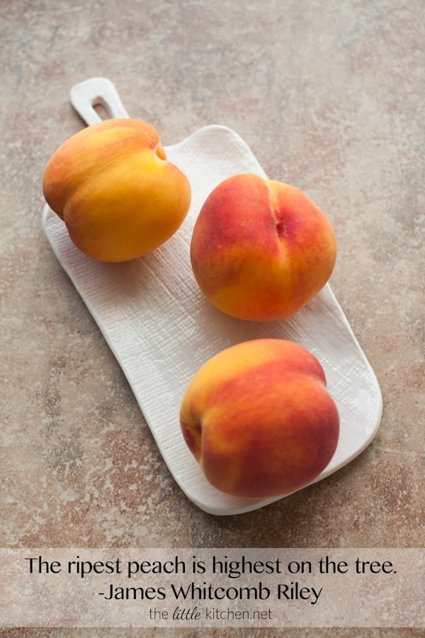 The ripest peach is highest on the tree. from thelittlekitchen.net The ripest peach is highest on the tree. from thelittlekitchen.net