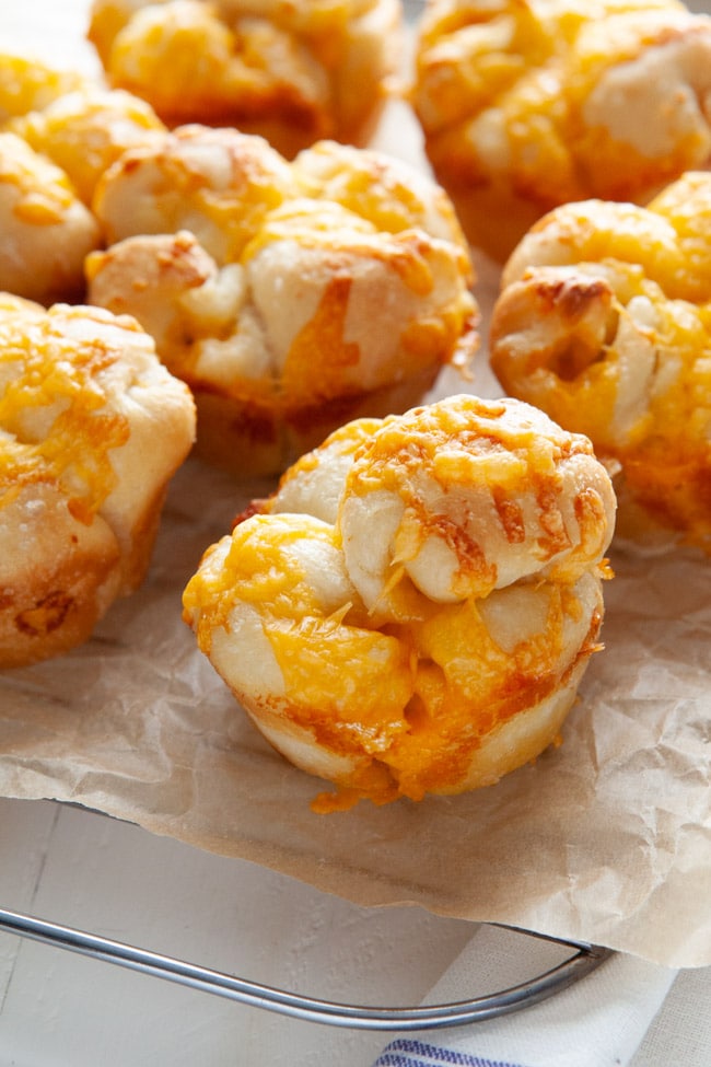 Cheddar Cheese Cloverleaf Rolls from thelittlekitchen.net Cheddar Cheese Cloverleaf Rolls from thelittlekitchen.net