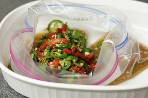 Tequila Marinade - Zippered Plastic Bag