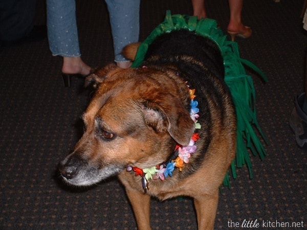 our wedding thelittlekitchen.net our wedding thelittlekitchen.net