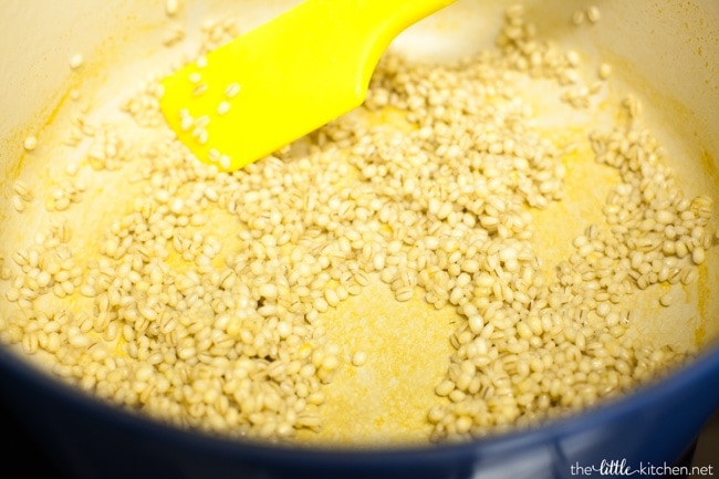 Panera Vegetable Soup from thelittlekitchen.net Panera Vegetable Soup from thelittlekitchen.net