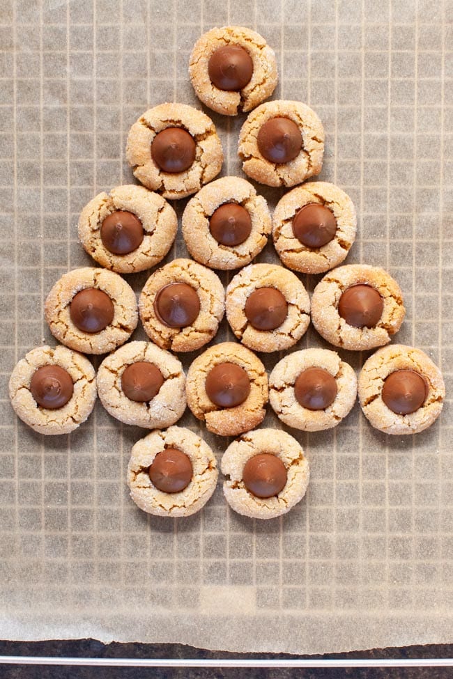 Peanut Butter Blossom Cookies from thelittlekitchen.net Peanut Butter Blossom Cookies on a baking sheet with a cooling rack and parchment paper underneath.