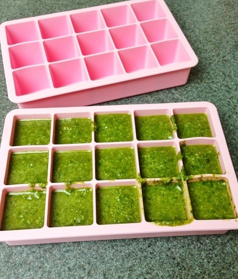 Freezing Pesto Freezing Pesto