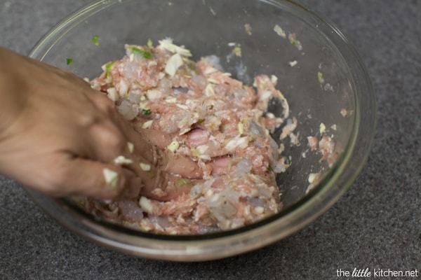 Pork and Shrimp Wonton Soup with Broccoli and Escarole from thelittlekitchen.net Pork and Shrimp Wonton Soup with Broccoli and Escarole from thelittlekitchen.net