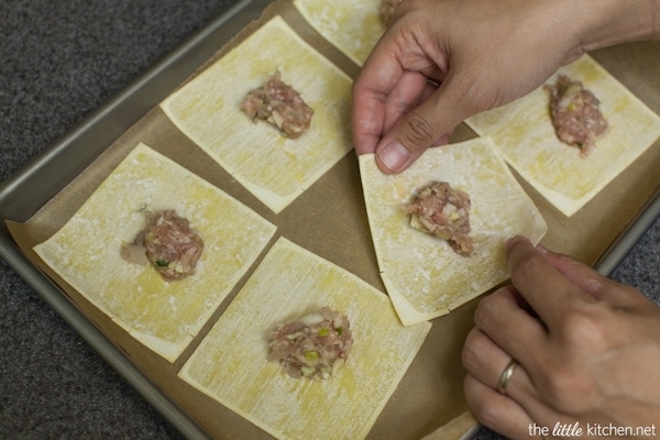 Pork and Shrimp Wonton Soup with Broccoli and Escarole from thelittlekitchen.net Pork and Shrimp Wonton Soup with Broccoli and Escarole from thelittlekitchen.net