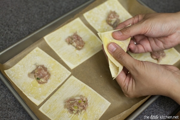 Pork and Shrimp Wonton Soup with Broccoli and Escarole from thelittlekitchen.net Pork and Shrimp Wonton Soup with Broccoli and Escarole from thelittlekitchen.net
