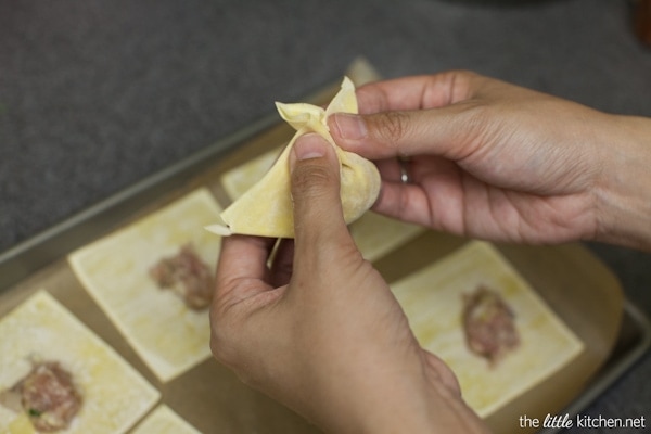 Pork and Shrimp Wonton Soup with Broccoli and Escarole from thelittlekitchen.net Pork and Shrimp Wonton Soup with Broccoli and Escarole from thelittlekitchen.net