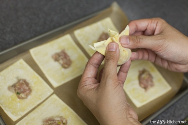 Pork and Shrimp Wonton Soup with Broccoli and Escarole from thelittlekitchen.net Pork and Shrimp Wonton Soup with Broccoli and Escarole from thelittlekitchen.net