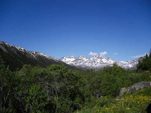 Skagway White Pass Scenic Railway (Princess Cruises) thelittlekitchen.net Skagway White Pass Scenic Railway (Princess Cruises) thelittlekitchen.net