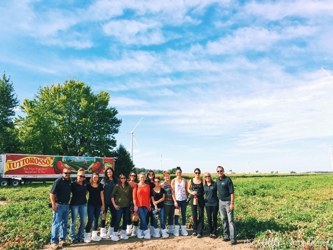Tomato & Cheese Omelette Muffins from thelittlekitchen.net Tomato & Cheese Omelette Muffins from thelittlekitchen.net