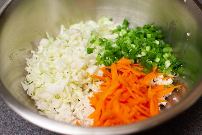 Vegetarian Dumplings from thelittlekitchen.net Mixing bowl filled with cabbage, green onions, carrots, and tofu for Vegetarian Dumplings from thelittlekitchen.net